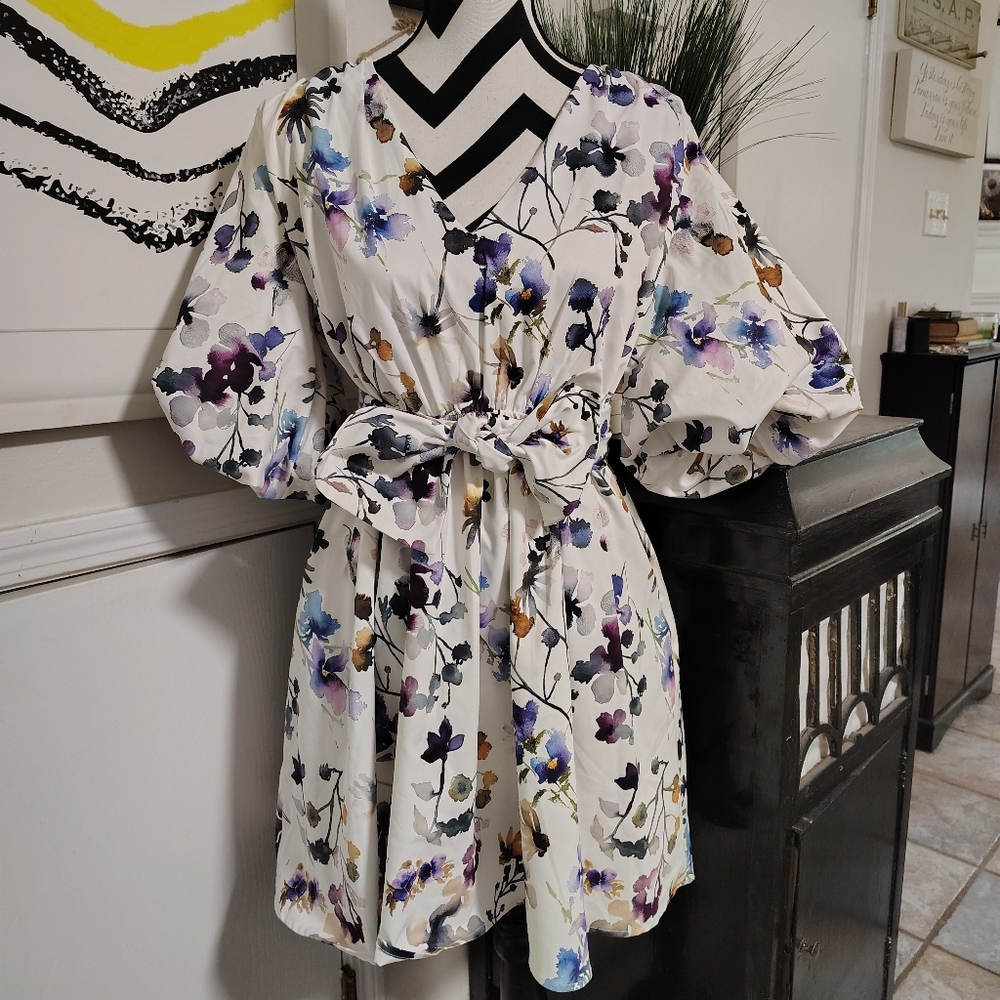 Mulla Floral V-Neck Dress Puffy Sleeves Cottagecore Women's Small Lined SOFT!